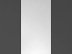 Dragon boat festival team building